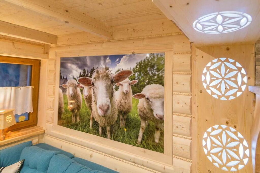 자코파네 Goralska Kryjowka 아파트 외부 사진